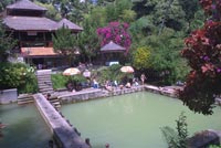 bali hot springs at village banjar